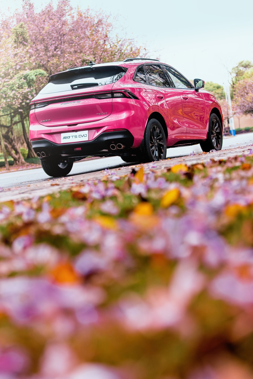 东风风行t5 evo"紫荆粉"圈粉年轻人