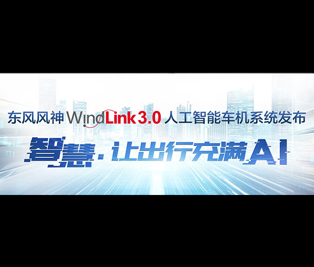 WindLink3.0